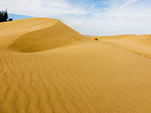 Meloneras & Maspalomas, Gran Canaria