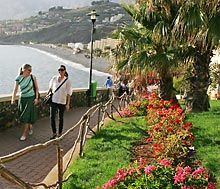 <p>Madeira</p>