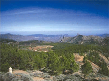 Gran Canaria