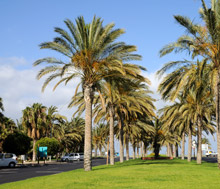 Jandia, Fuerteventura