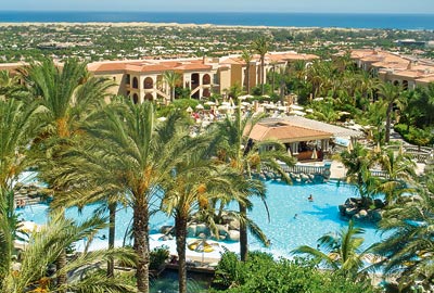 Palm Oasis