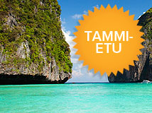 Tammietu
